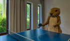 Tisza Balneum Thermal Hotel
