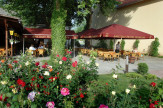 Előszezoni Wellness kúra Harkányban - 5 éjszaka