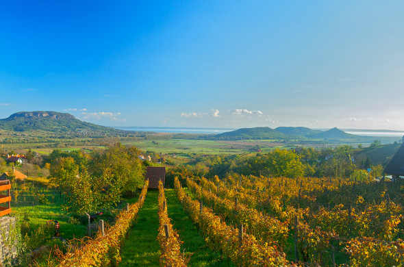 Balaton